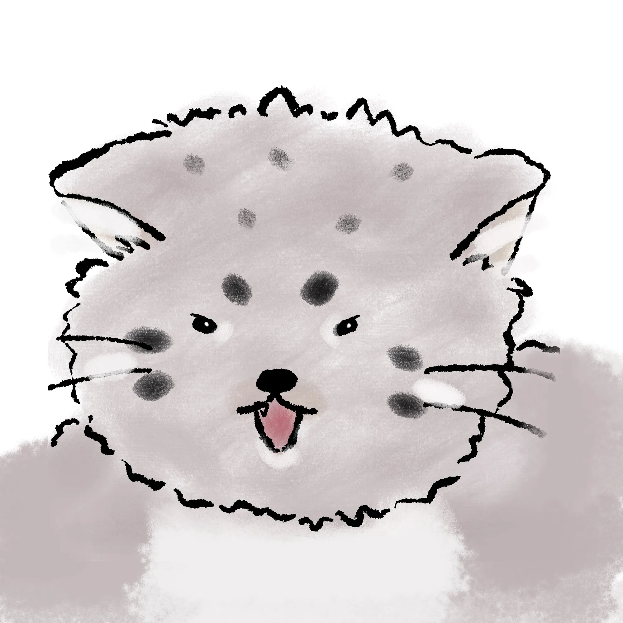 북한산마눌고양이😸